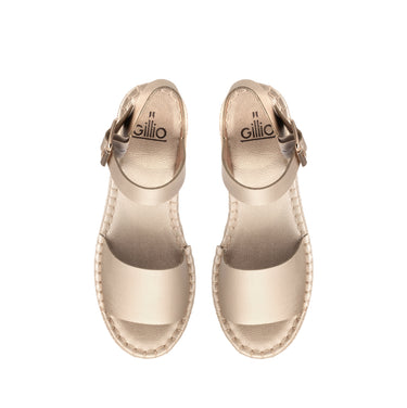 PLATAFORMA PAM PLATINO