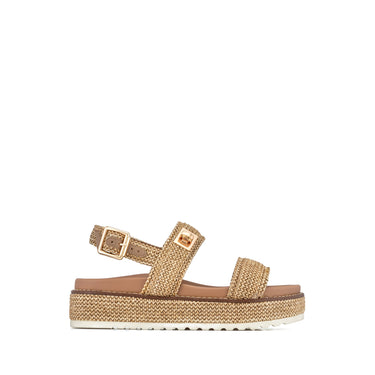 PLATAFORMA DANIA CAMEL