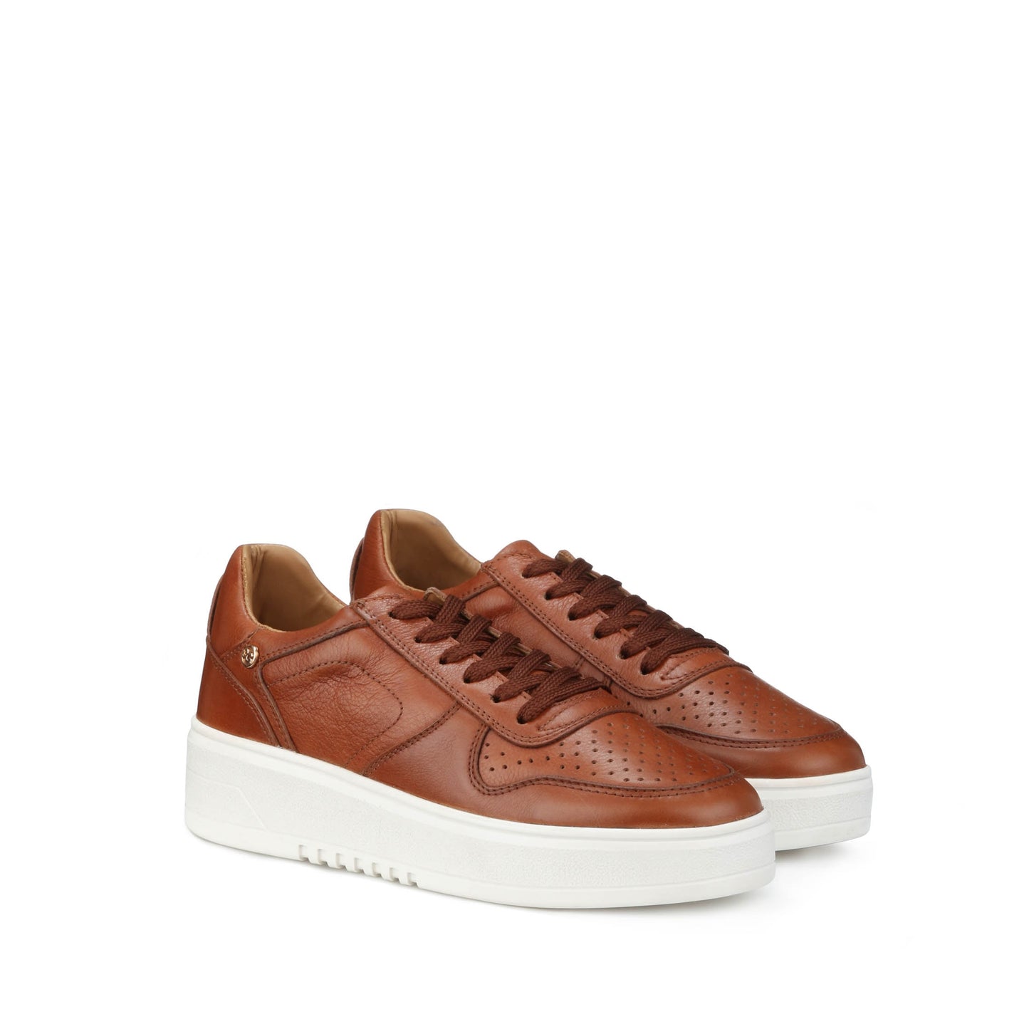 TENIS BOSTON WHISKY