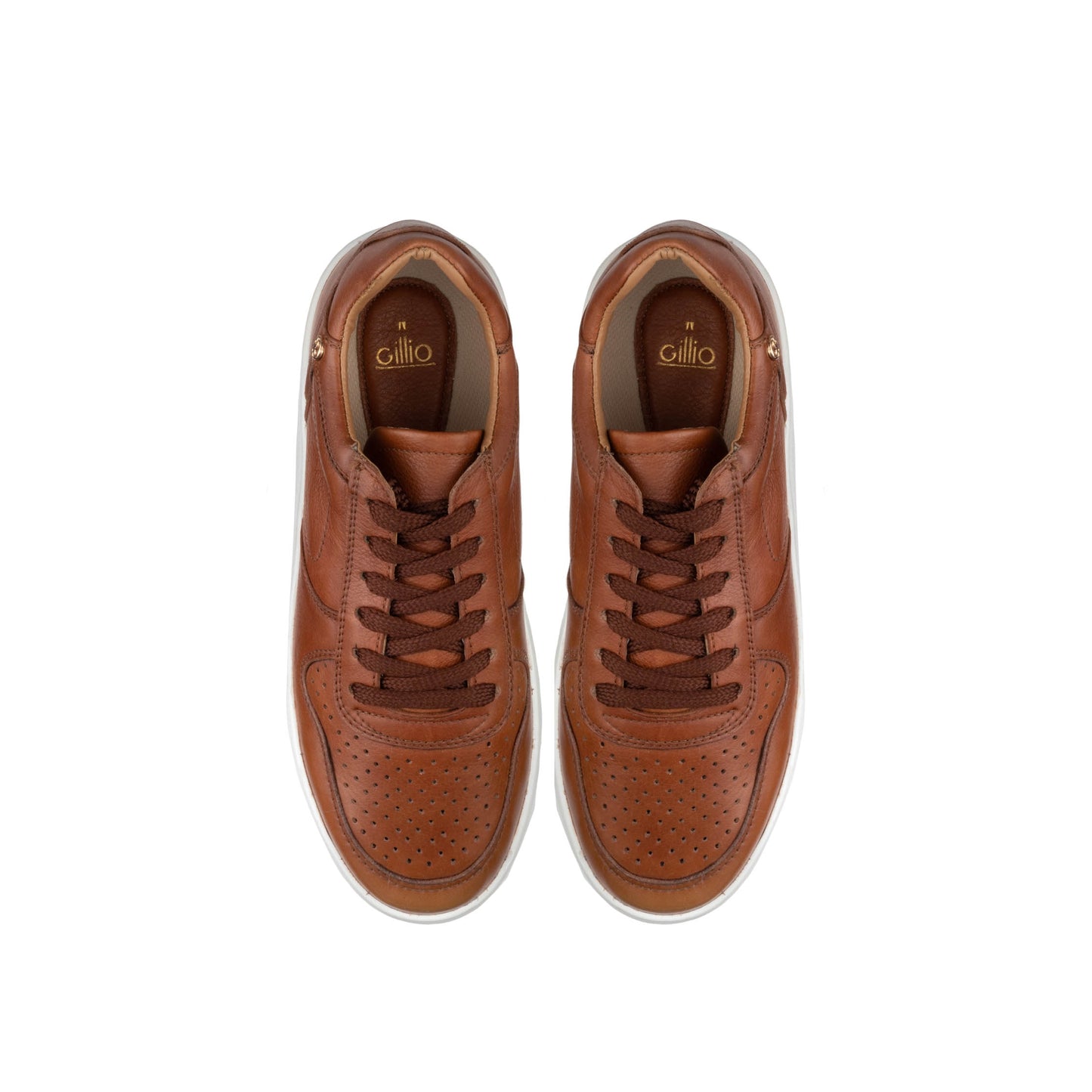 TENIS BOSTON WHISKY